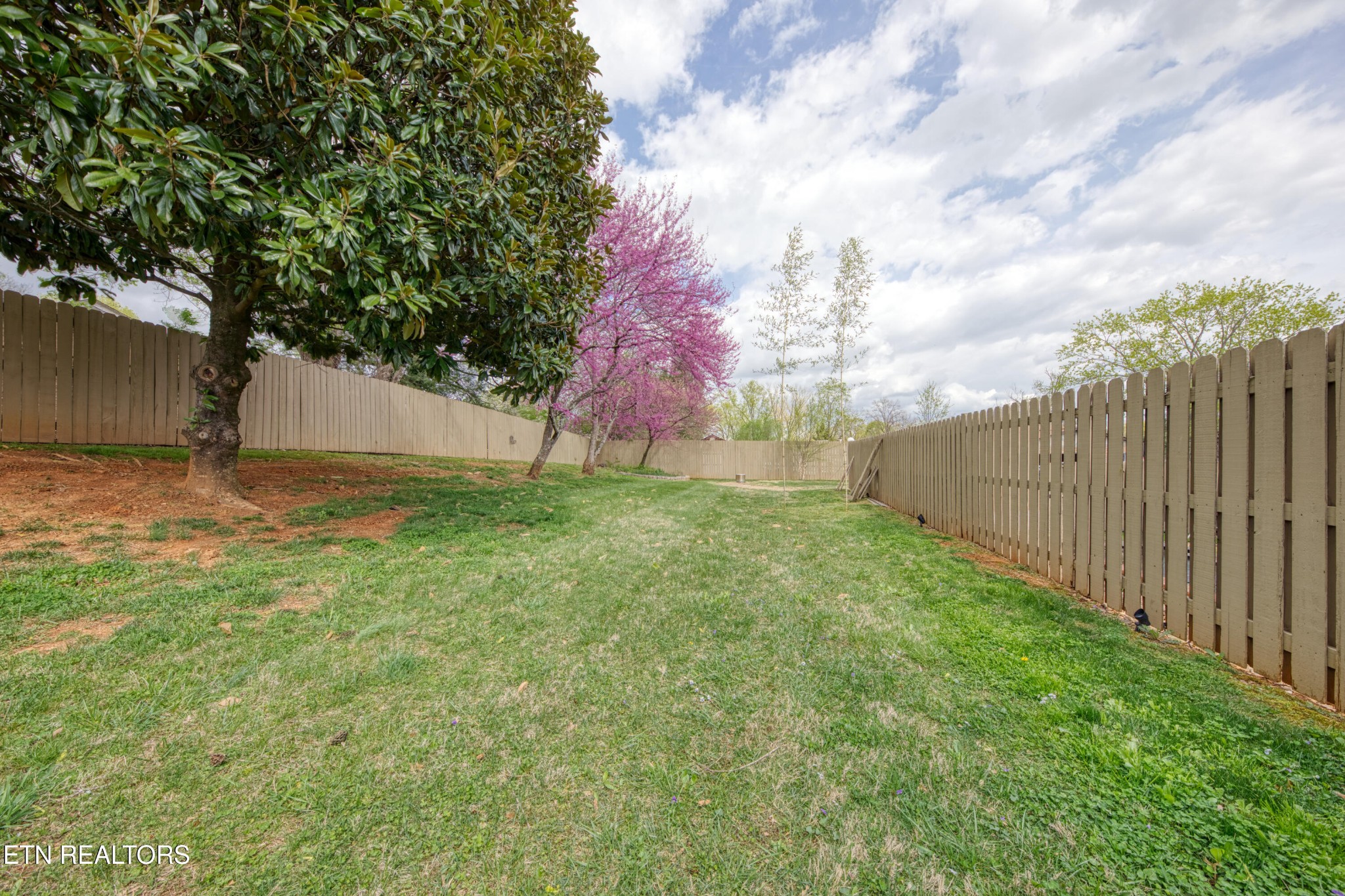 101 Candora Road Maryville, TN 37804 - Photo 8 of 55 Gallery Image 8