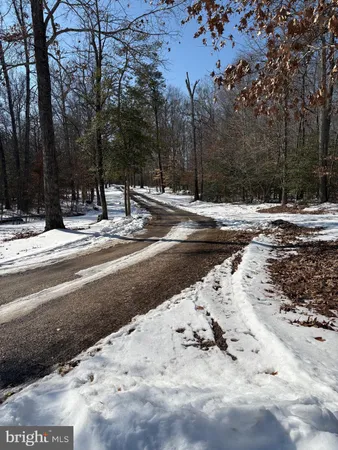 a view of a backyard of a house