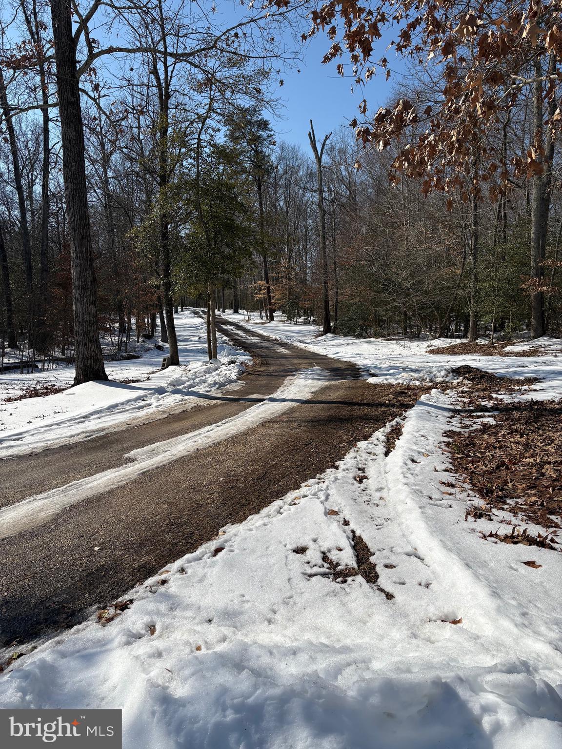 15324 Brandywine Road Brandywine, MD 20613 - Photo 4 of 9 a view of a backyard of a house