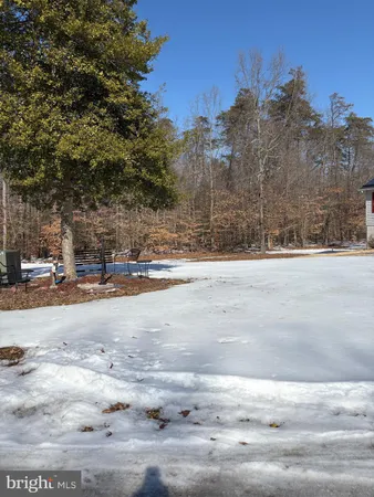 a view of road with large trees