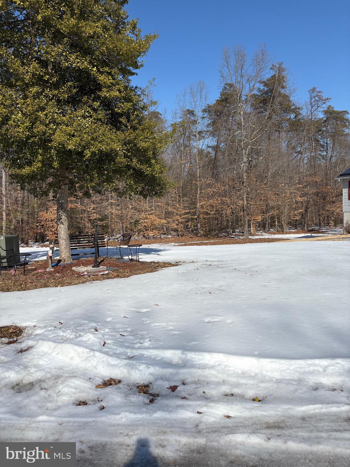 15324 Brandywine Road Brandywine, MD 20613 - Photo 5 of 9 a view of road with large trees