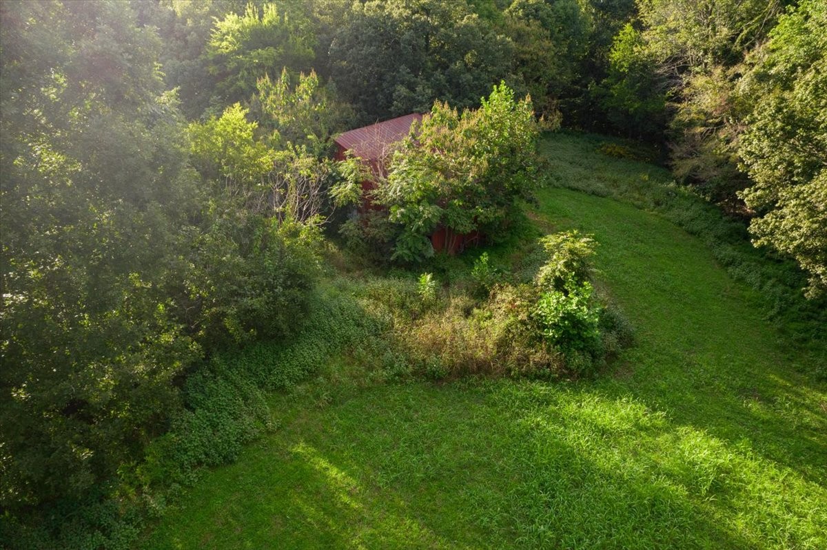 550 Union Ridge Road Wartrace, TN 37183 - Photo 11 of 24 a view of a garden with a tree