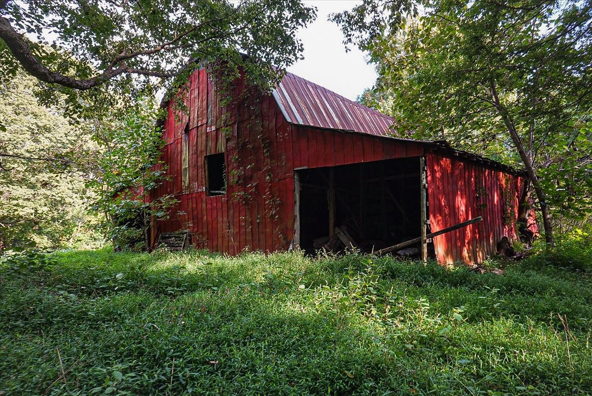 550 Union Ridge Road Wartrace, TN 37183 - Photo 2 of 24 a view of a backyard