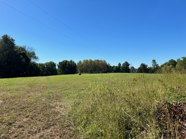 550 Union Ridge Road Wartrace, TN 37183 - Photo 23 of 24 a view of a lake view
