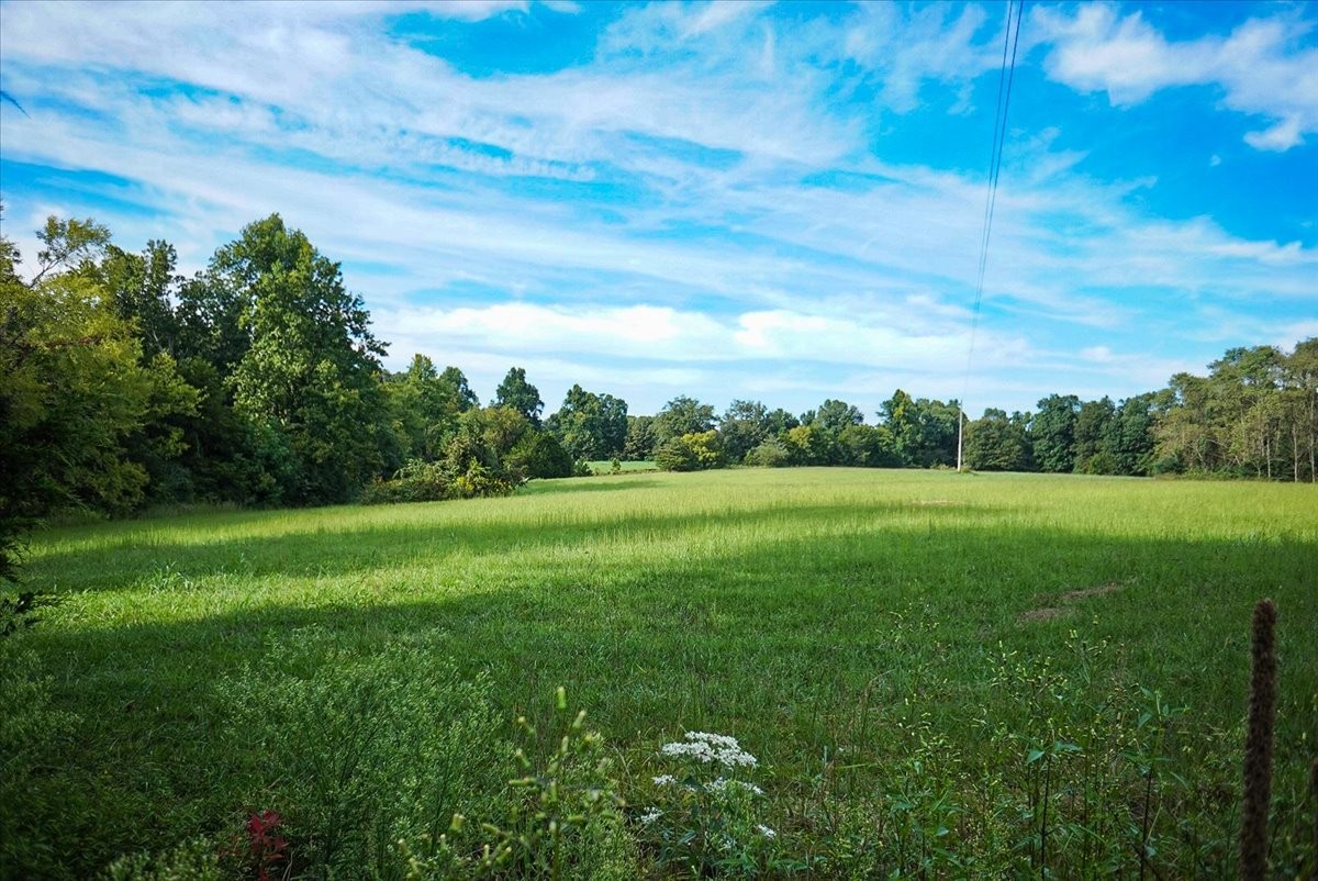 550 Union Ridge Road Wartrace, TN 37183 - Photo 4 of 24 a view of field with green space