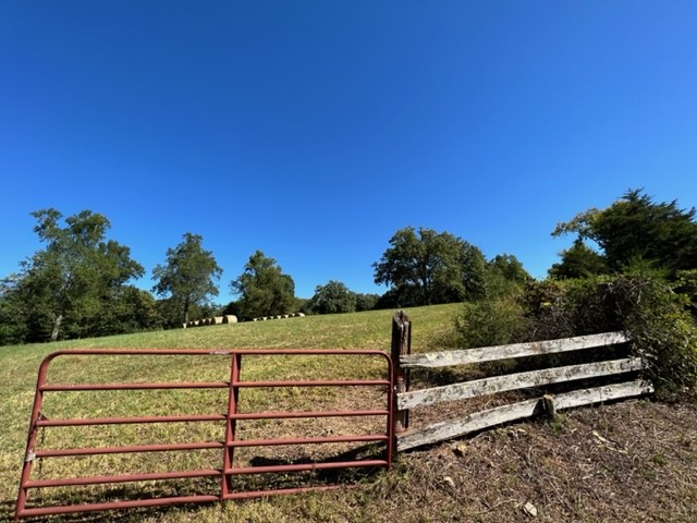 550 Union Ridge Road Wartrace, TN 37183 - Photo 5 of 24 a view of a bench in the middle of a yard