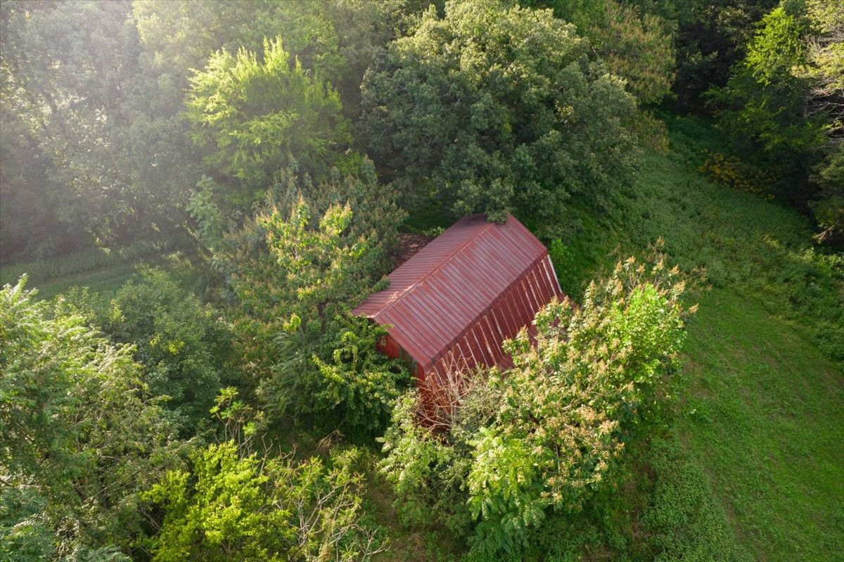 550 Union Ridge Road Wartrace, TN 37183 - Photo 10 of 24 a view of a garden