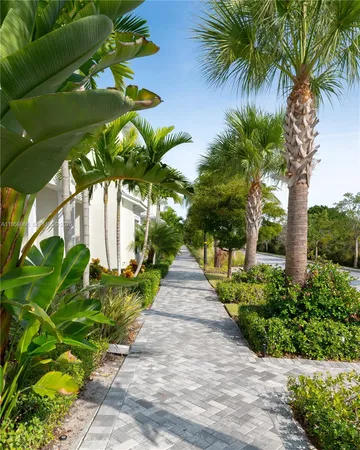 a view of a pathway with a tree in front of it