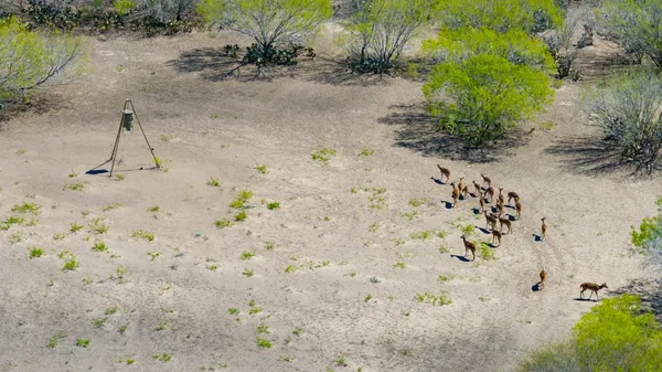 $1,650,000 | 1202 Highway 44, San Diego, TX 78384