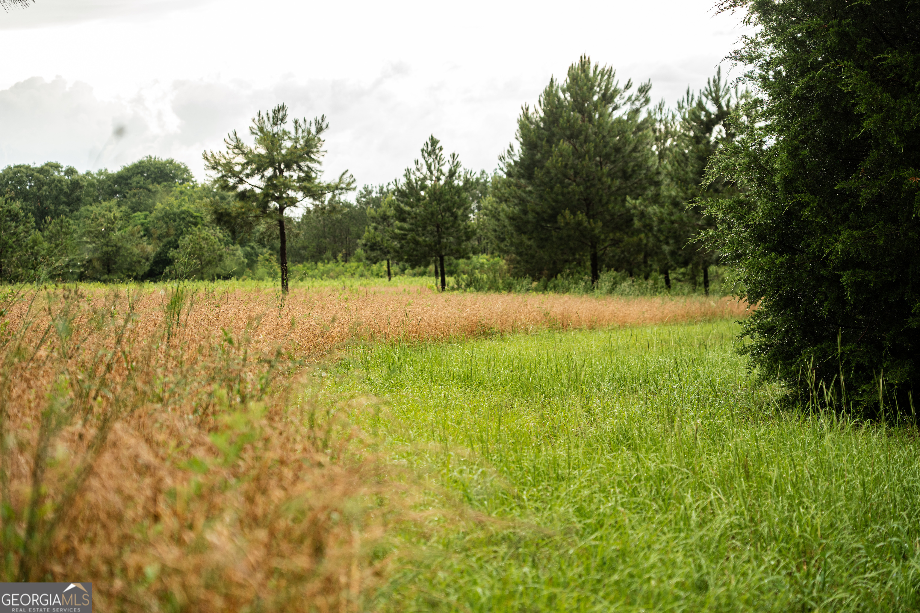 990 Highway 49 Americus, GA 31719 - Photo 39 of 121