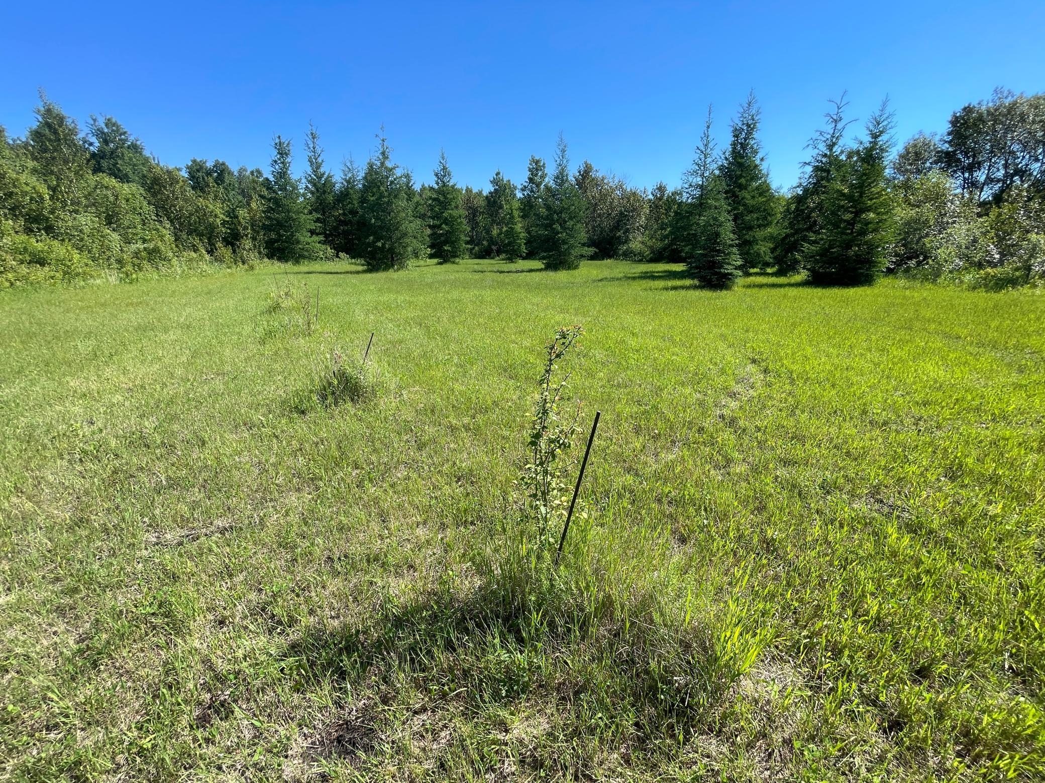 Tbd 440th Avenue Roseau, MN 56751 - Photo 64 of 80