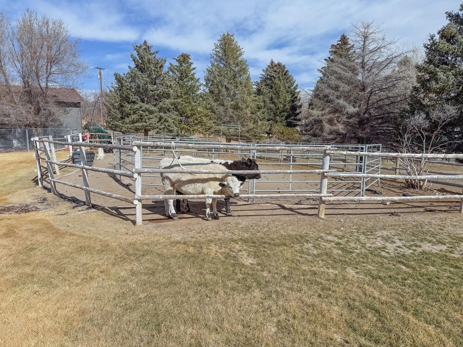 2425 West Main Street Riverton, WY 82501 - Photo 43 of 50