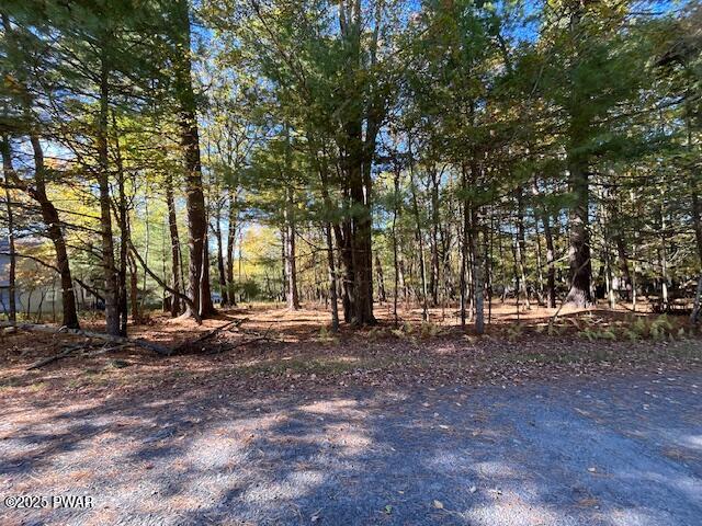 Lot 226 Hound Road Dingmans Ferry, PA 18328 - Photo 2 of 9