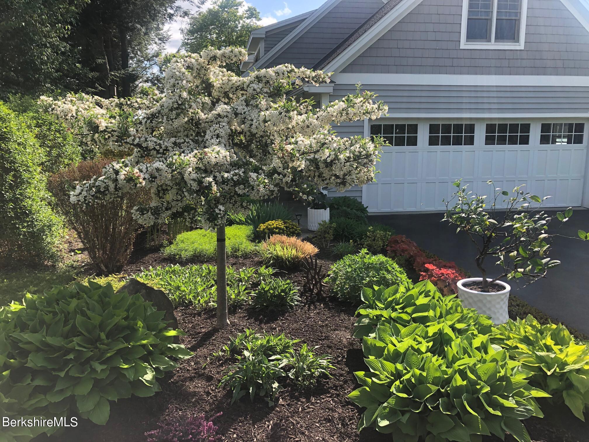 575 Pecks Road Pittsfield, MA 01201 - Photo 47 of 63 Garden