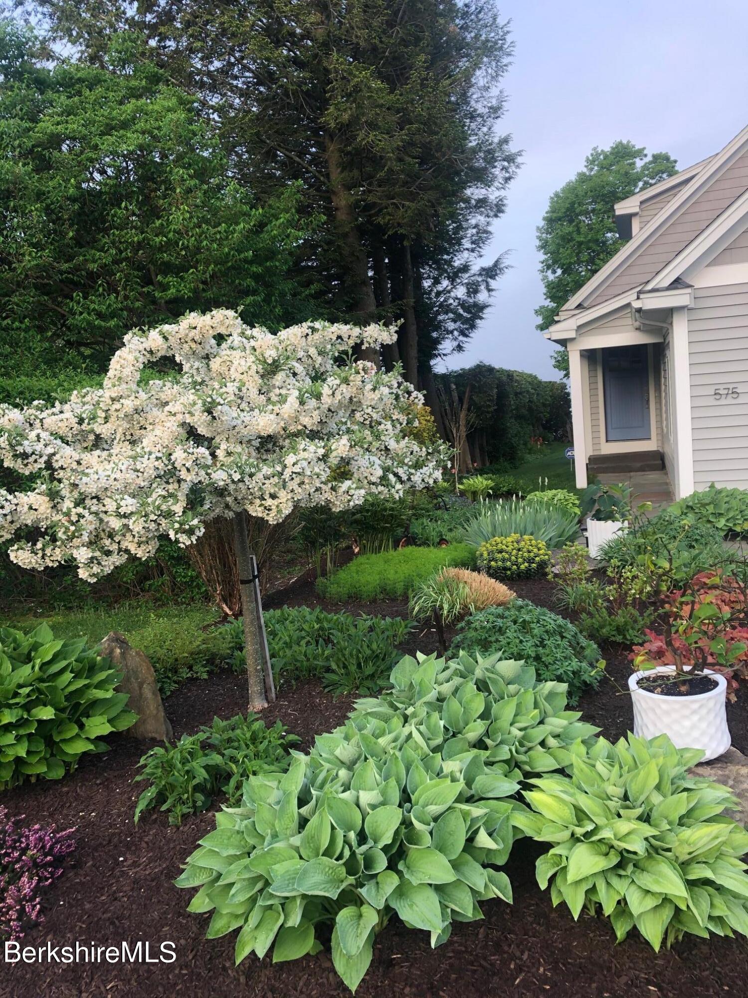 575 Pecks Road Pittsfield, MA 01201 - Photo 49 of 63 Garden