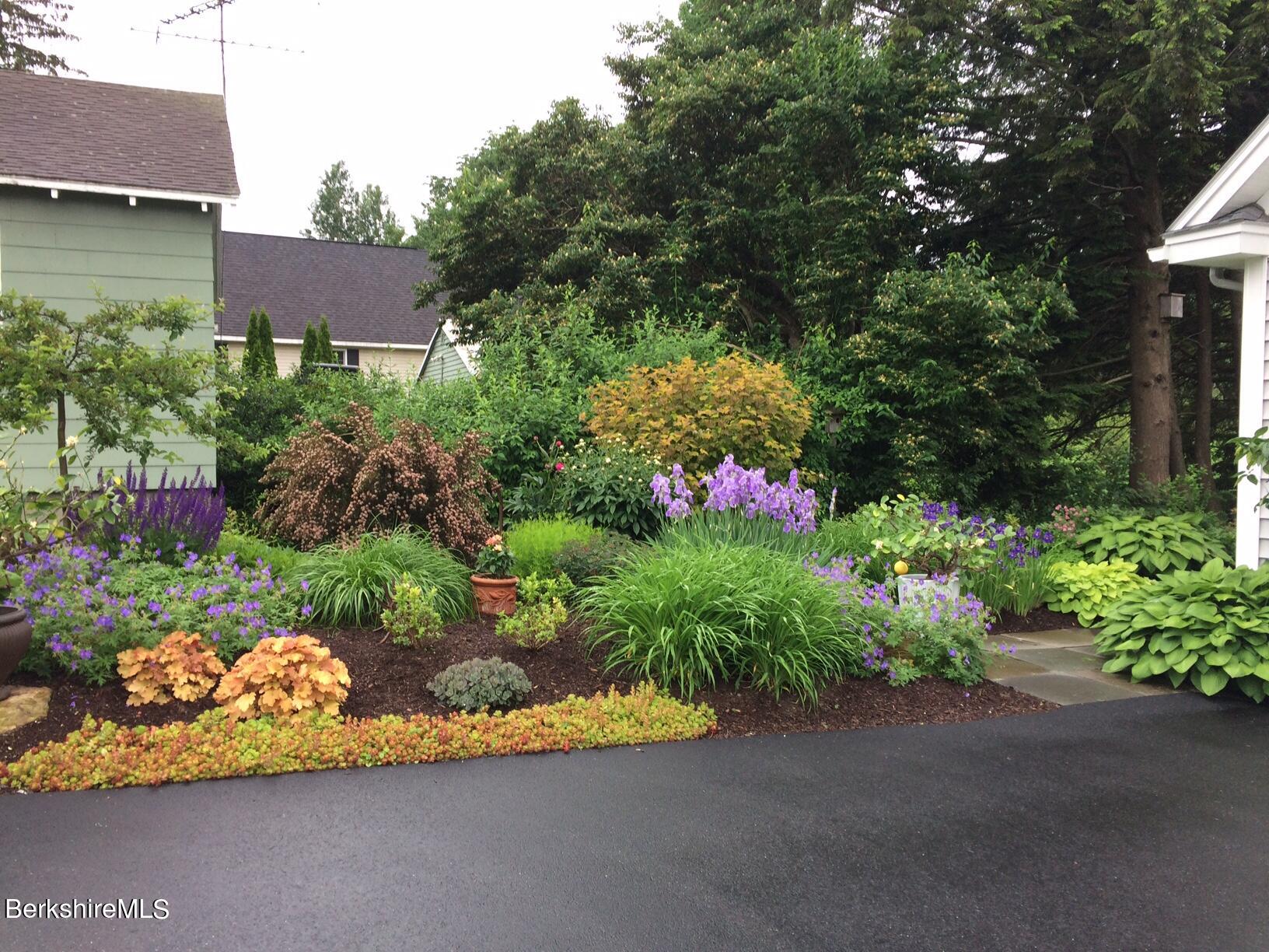 575 Pecks Road Pittsfield, MA 01201 - Photo 50 of 63 Garden