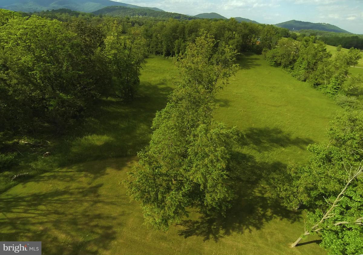 31 Starks Road Washington, VA 22747 - Photo 6 of 30 a view of a lush green forest with lots of trees