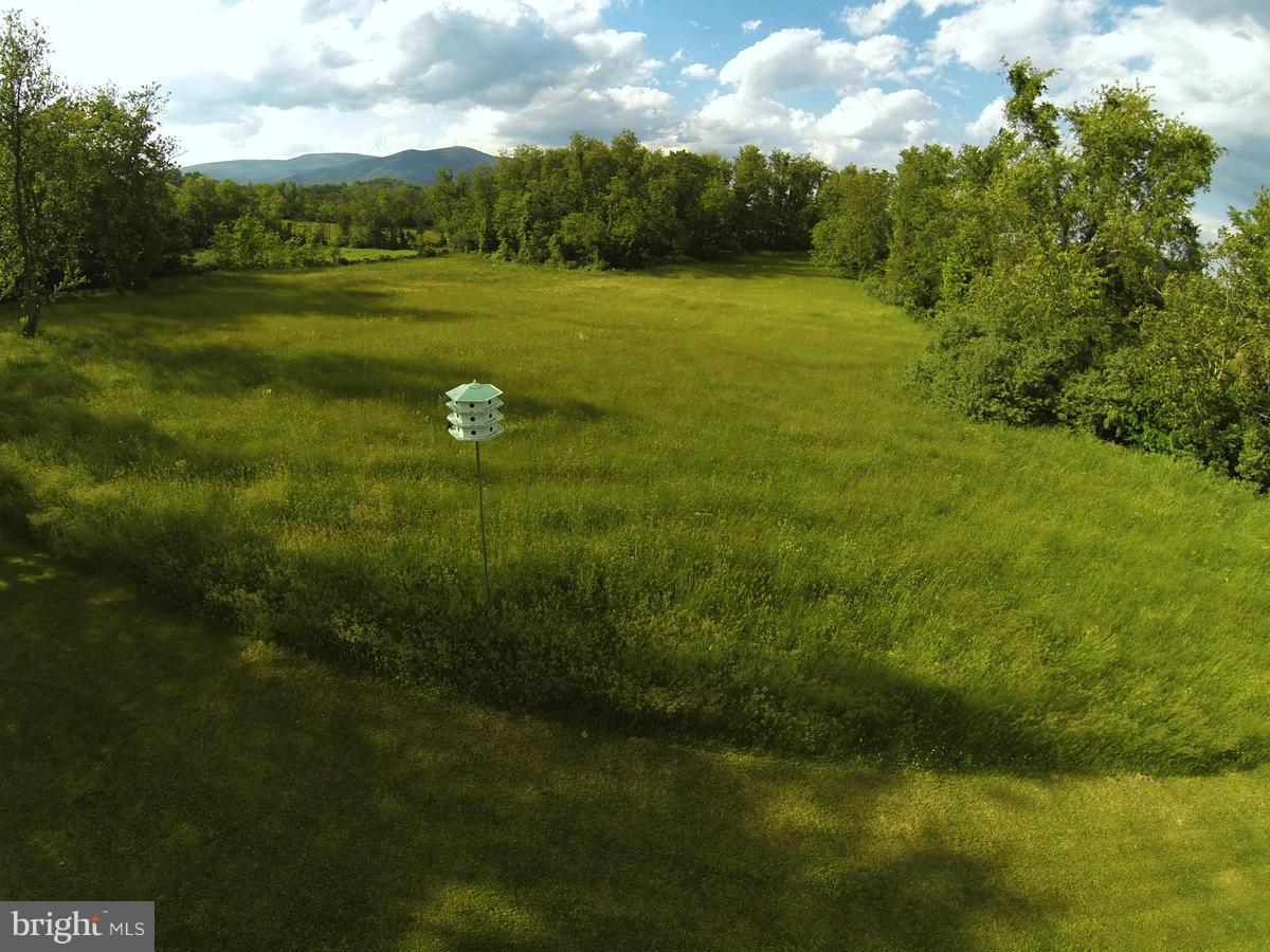31 Starks Road Washington, VA 22747 - Photo 7 of 30 a view of a green field
