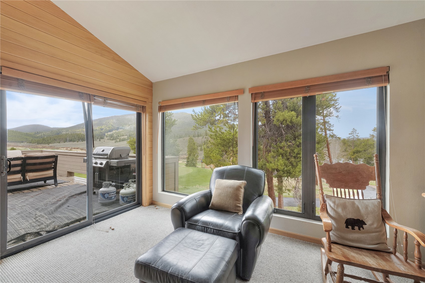 203 Gentian Road Keystone, CO 80435 - Photo 16 of 46
