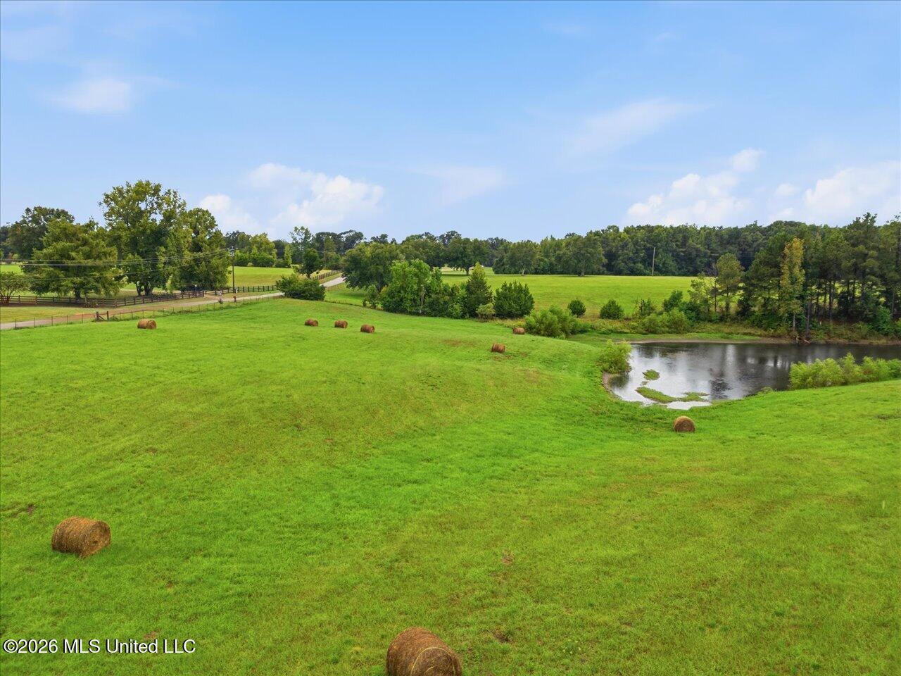 1124 Perrett Road Hazlehurst, MS 39083 - Photo 50 of 77 1124 Perrett Rd - Side Yard with pond