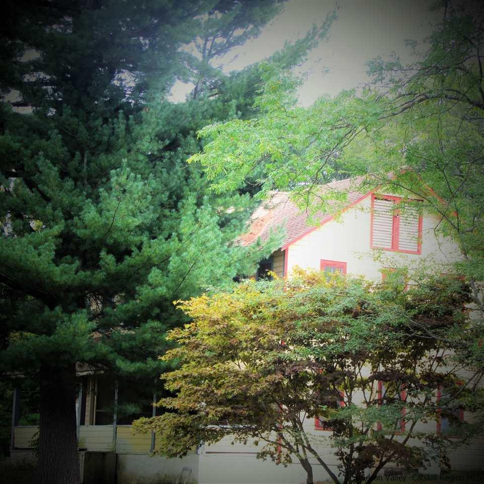 29 Lower Granite Road Kerhonkson, NY 12446 - Photo 29 of 30 Photo 30