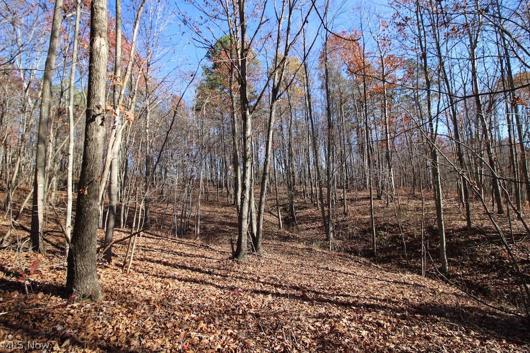 50715 Osborne Road Reedsville, OH 45772 - Photo 13 of 24