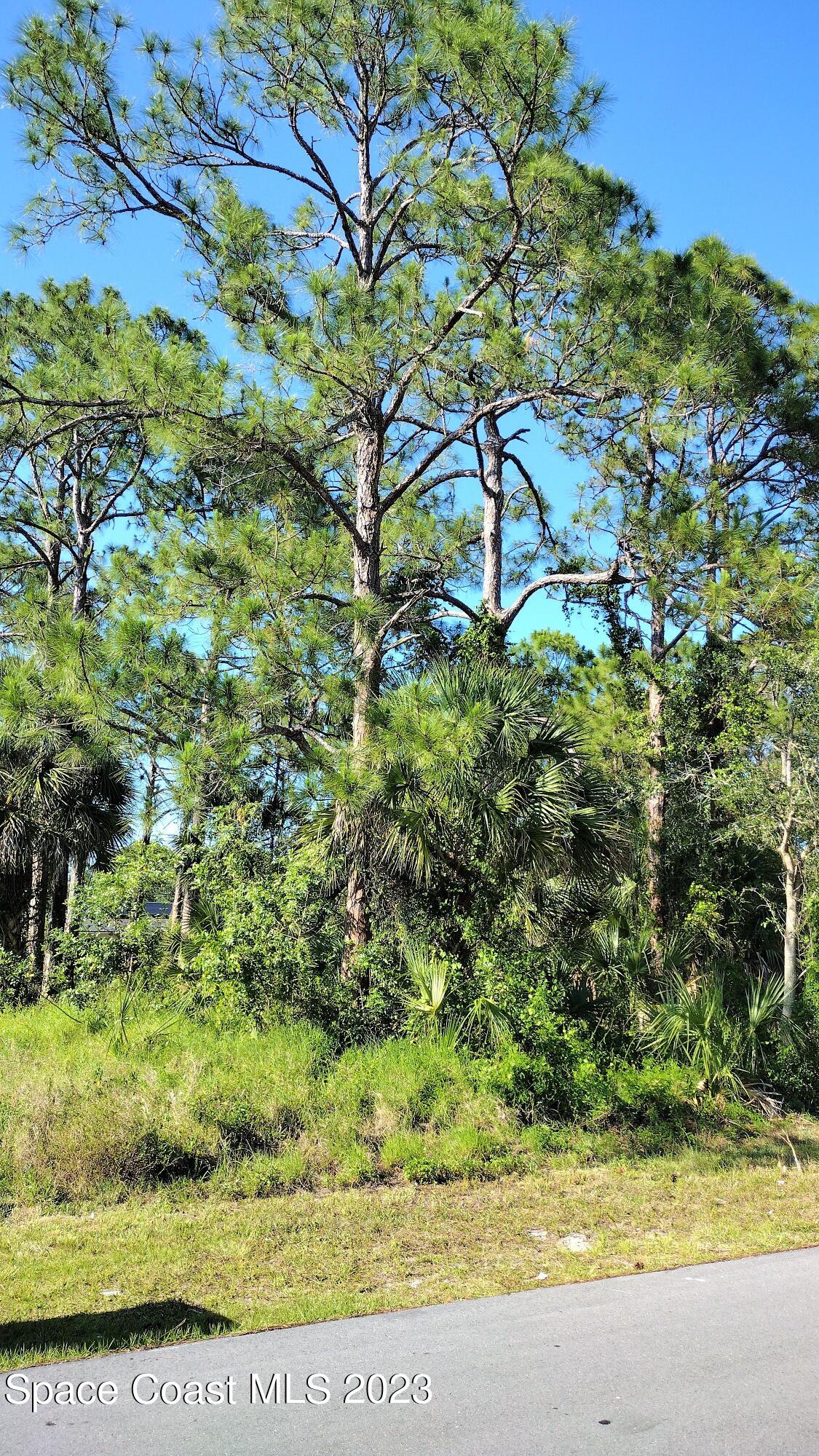 255 Trilby Road Southwest Palm Bay, FL 32908 - Photo 3 of 33 a picture of street view