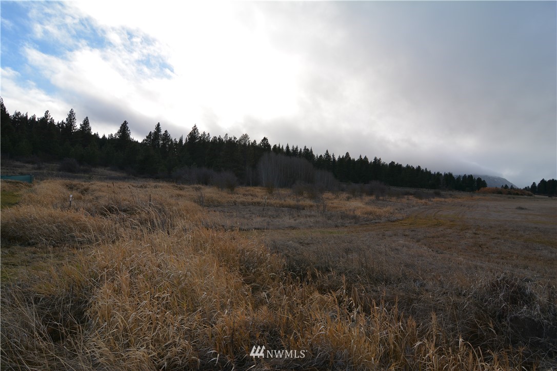 9 Lot Road Cle Elum, WA 98922 - Photo 4 of 5 Gallery Image 4