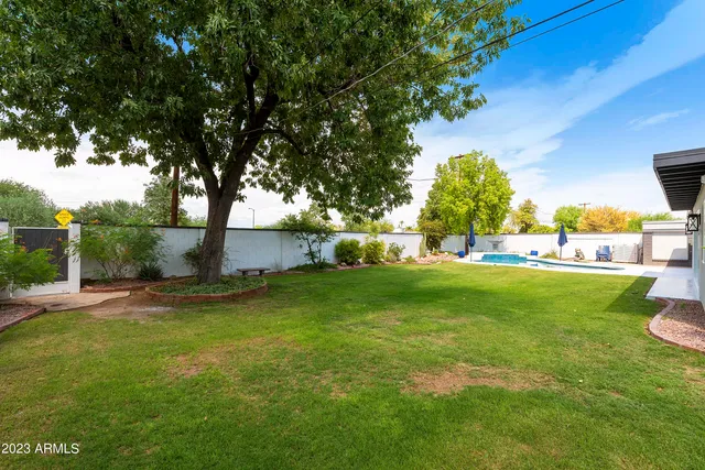 a view of yard with green space and trees