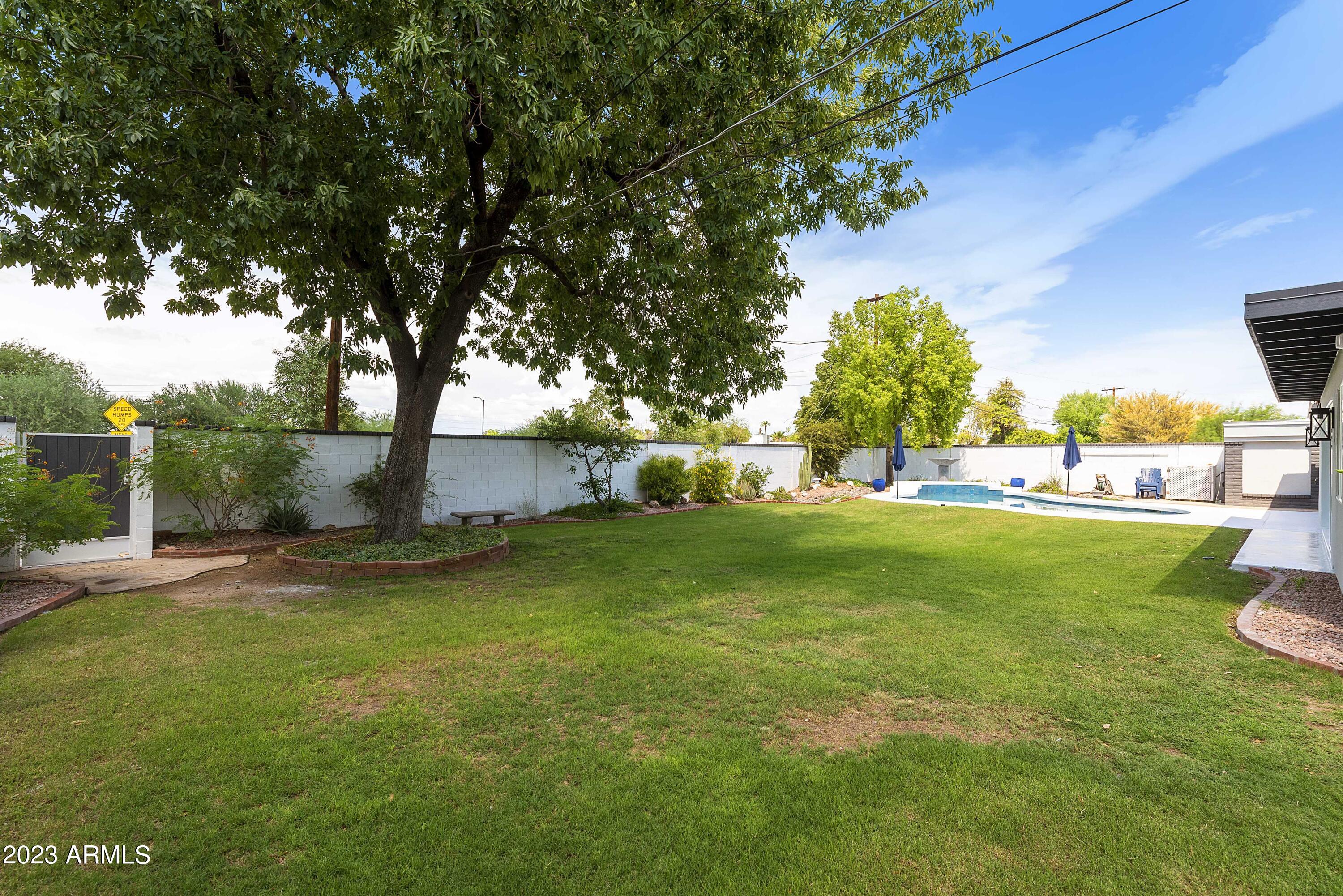 3318 East Onyx Avenue Phoenix, AZ 85028 - Photo 5 of 55 a view of yard with green space and trees