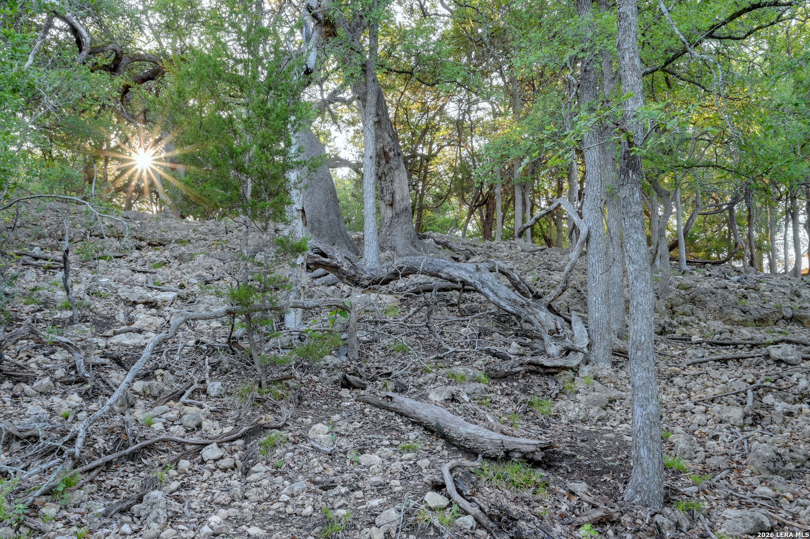 315 Rittimann Road Spring Branch, TX 78070 - Photo 46 of 51