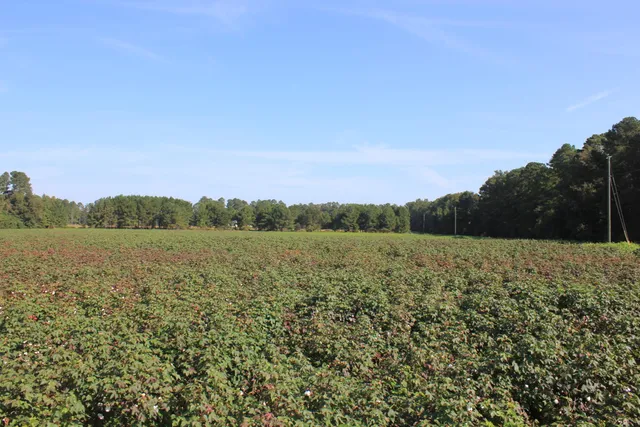 $950,000 | 0 Old Highway, Santee, SC 29142