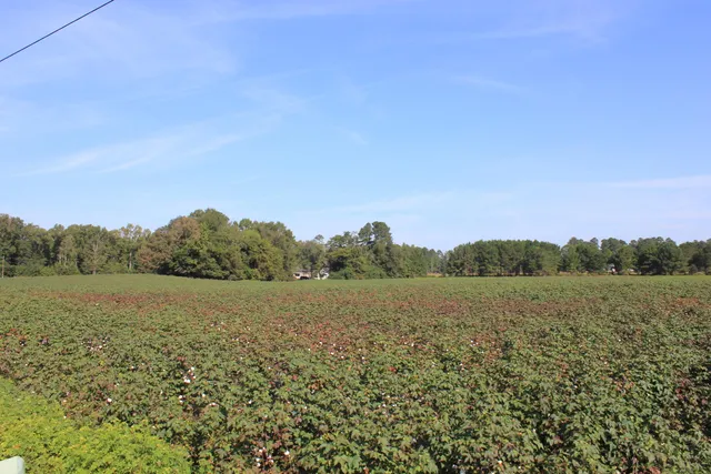 $950,000 | 0 Old Highway, Santee, SC 29142