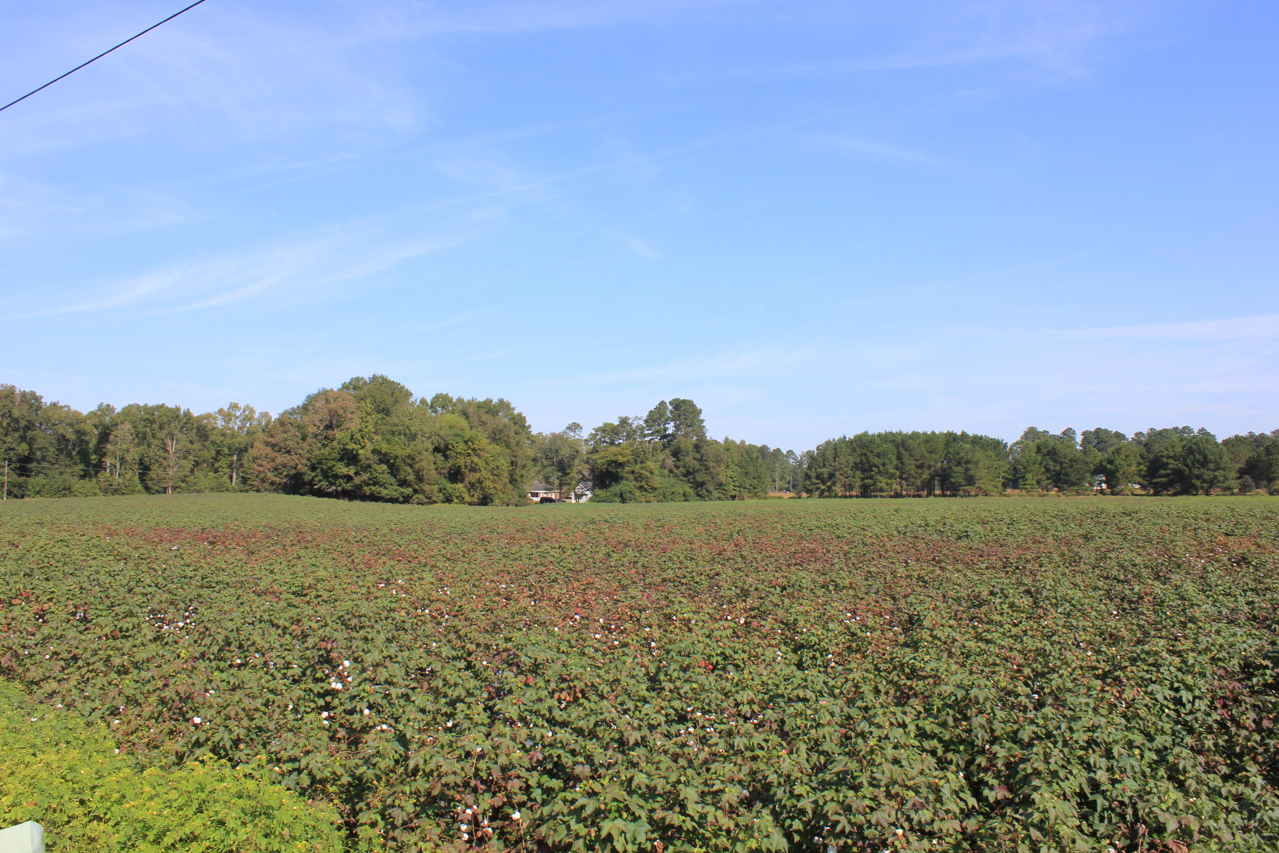 0 Old Highway Santee, SC 29142 - Photo 2 of 9 IMG_0055
