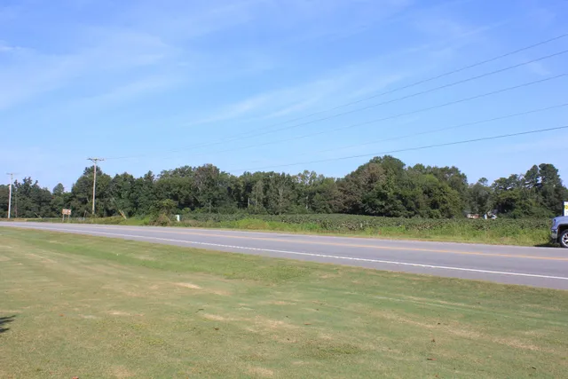 $950,000 | 0 Old Highway, Santee, SC 29142