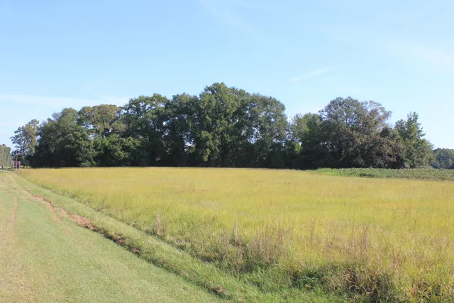 $950,000 | 0 Old Highway, Santee, SC 29142