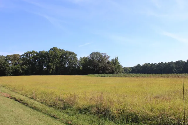 $950,000 | 0 Old Highway, Santee, SC 29142