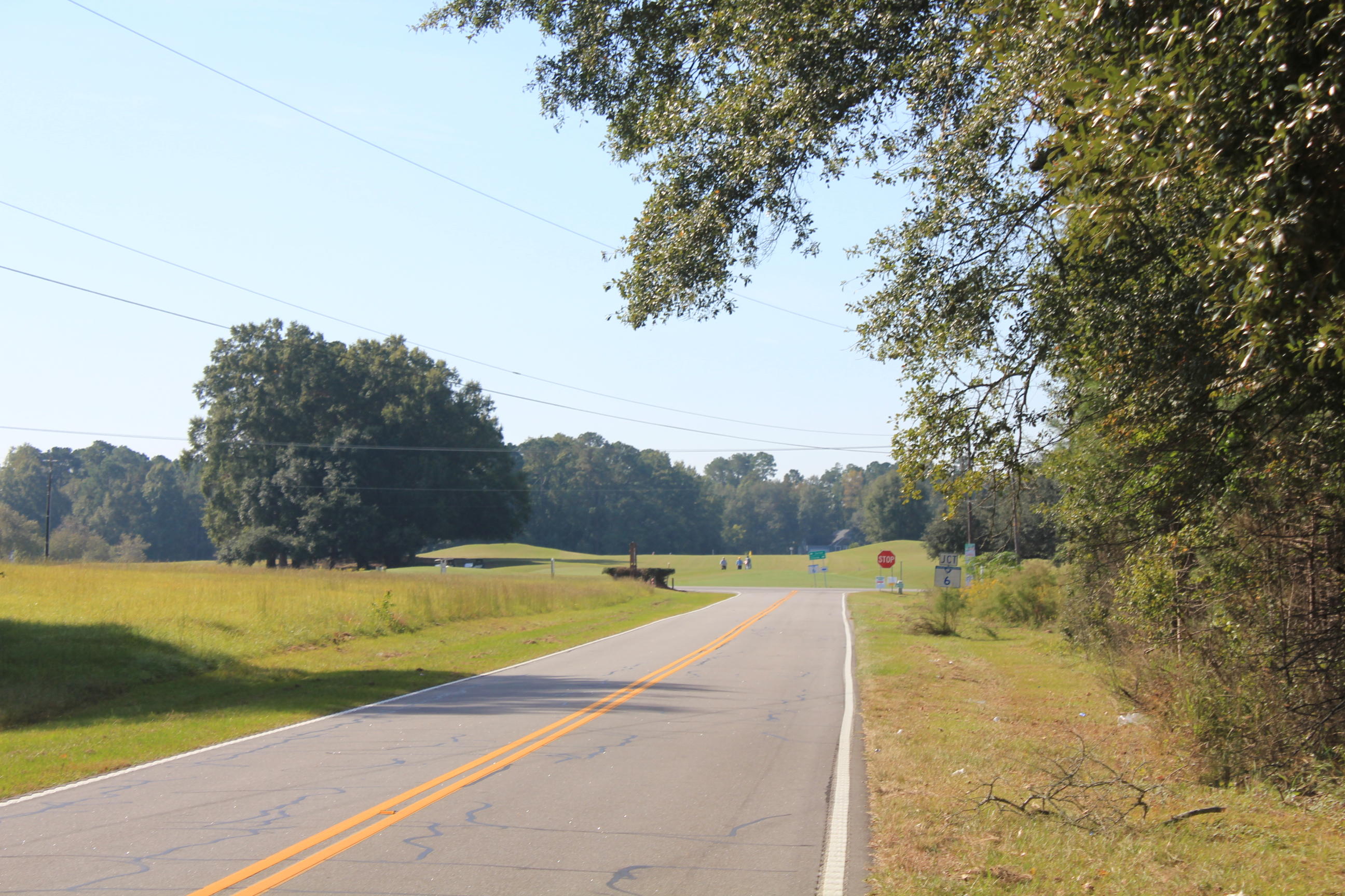 0 Old Highway Santee, SC 29142 - Photo 7 of 9 IMG_0067
