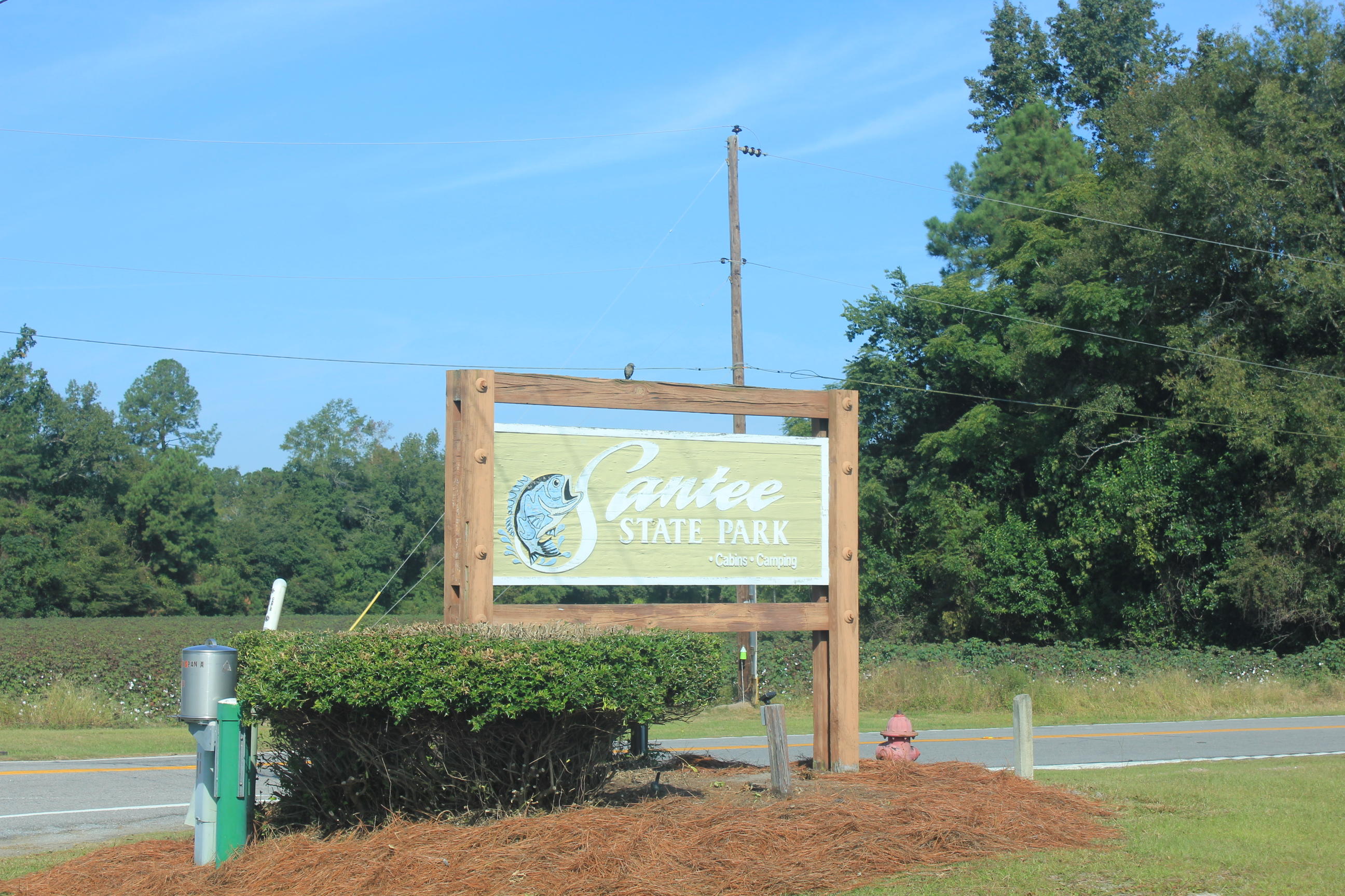 0 Old Highway Santee, SC 29142 - Photo 8 of 9 IMG_0062