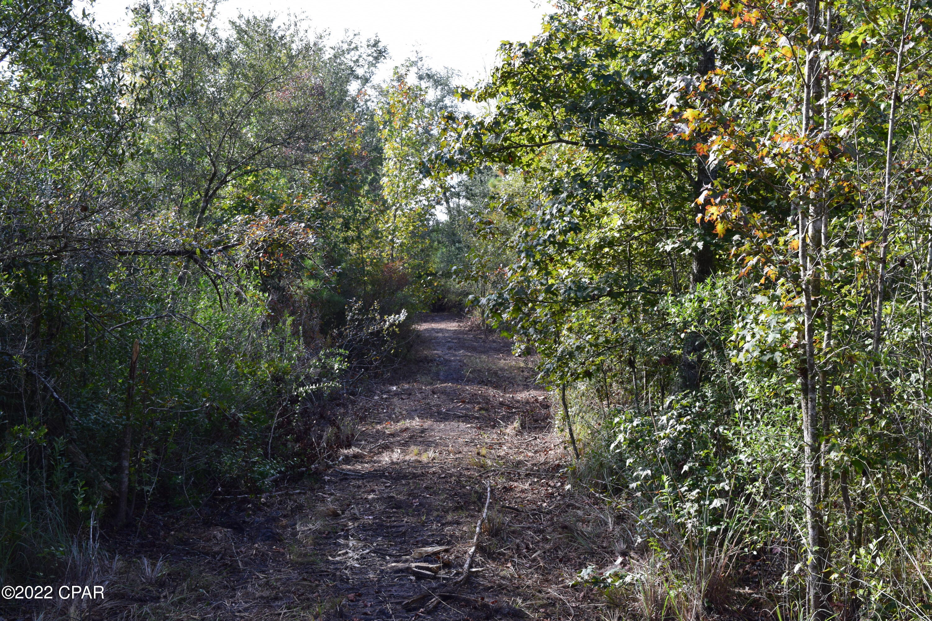 0 Bethlehem Road Cottondale, FL 32431 - Photo 12 of 24