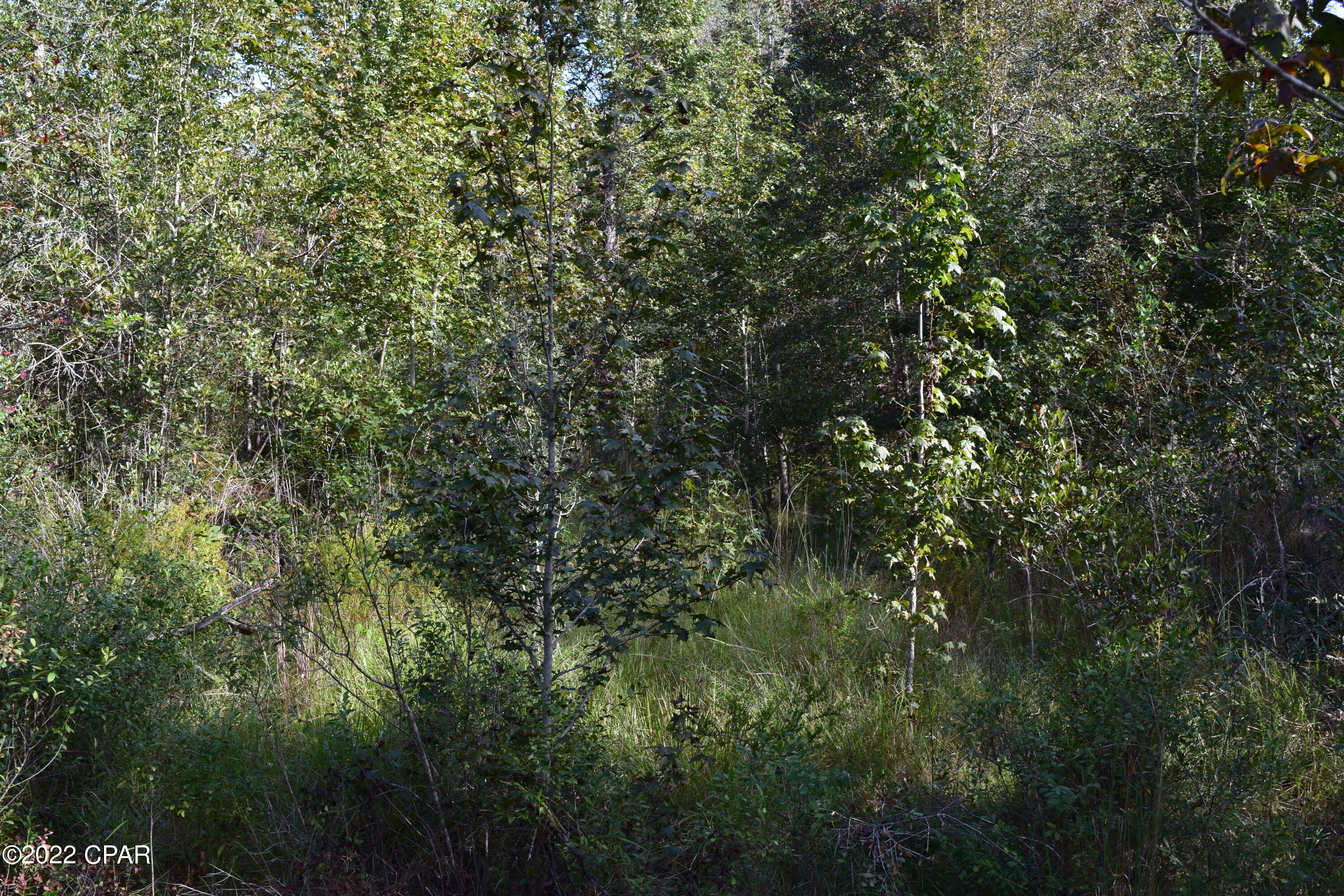 0 Bethlehem Road Cottondale, FL 32431 - Photo 13 of 24