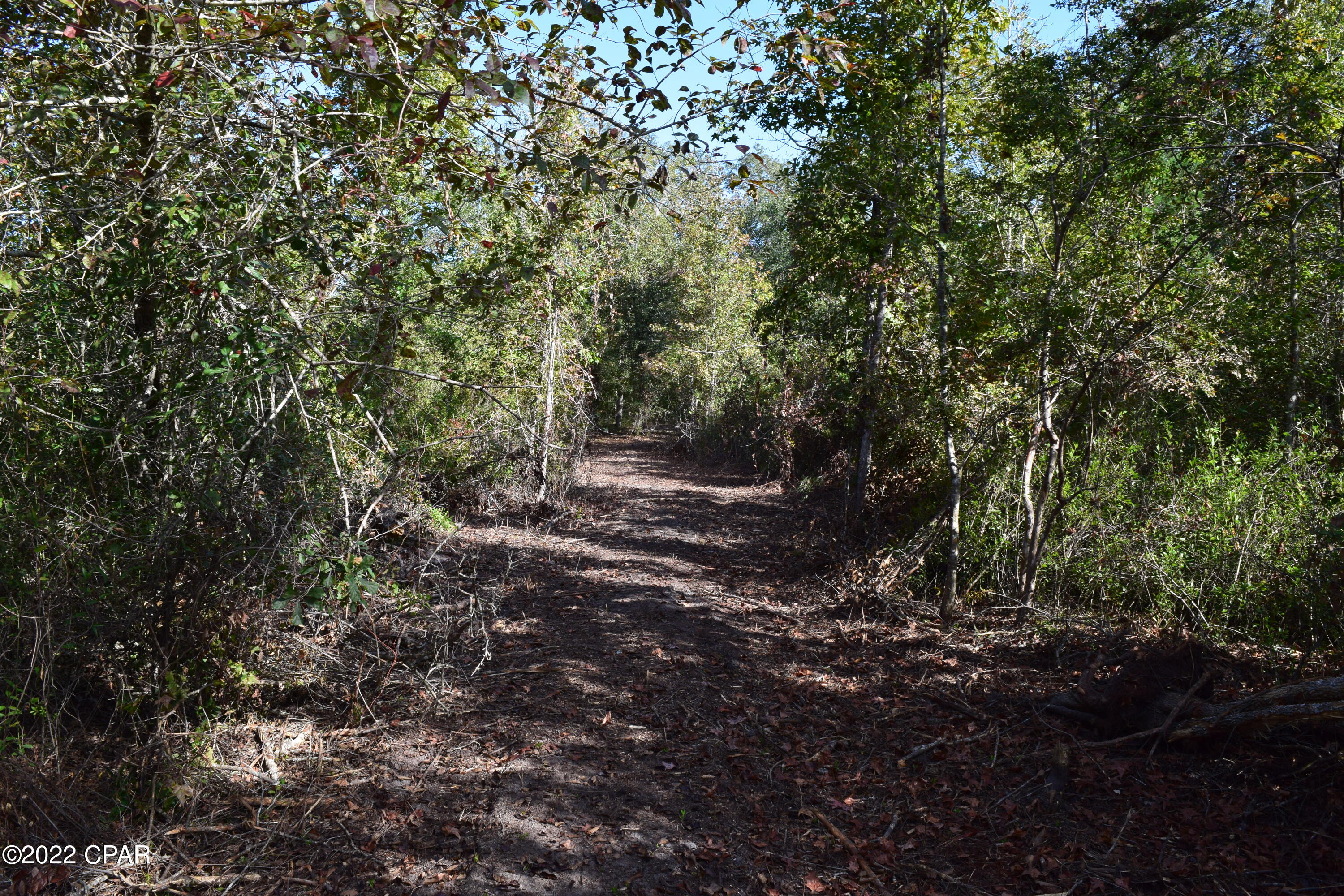 0 Bethlehem Road Cottondale, FL 32431 - Photo 15 of 24