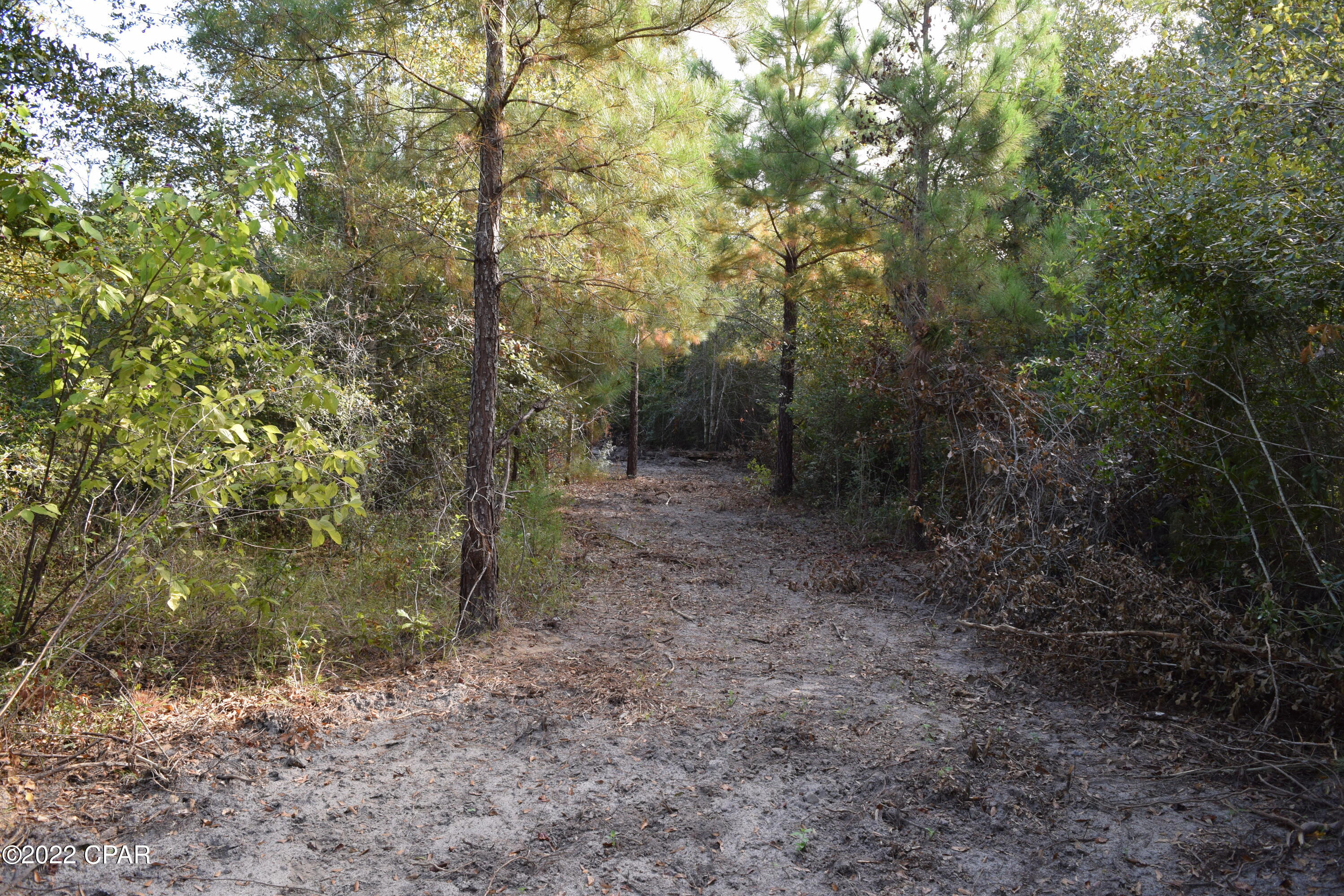 0 Bethlehem Road Cottondale, FL 32431 - Photo 16 of 24