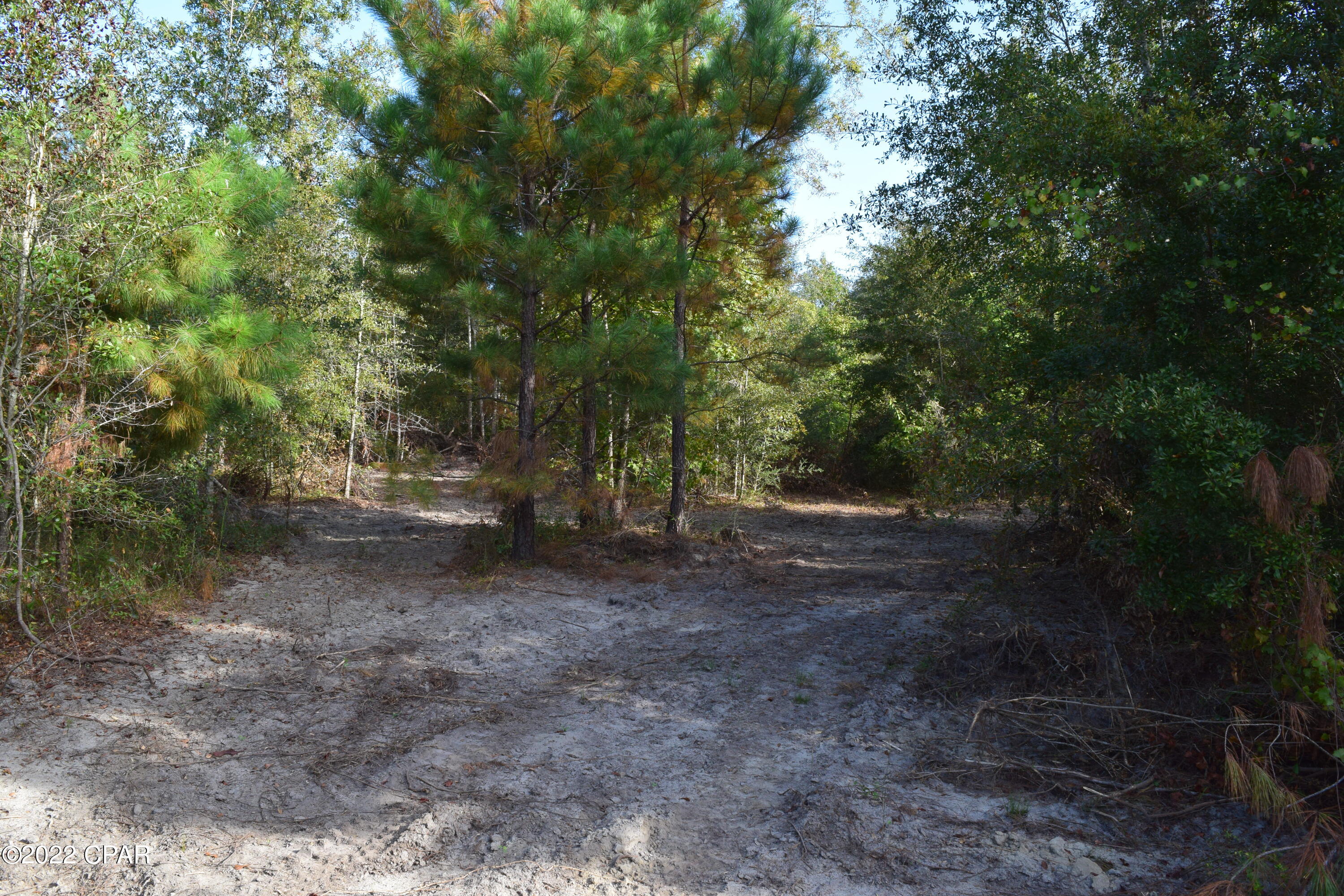 0 Bethlehem Road Cottondale, FL 32431 - Photo 17 of 24