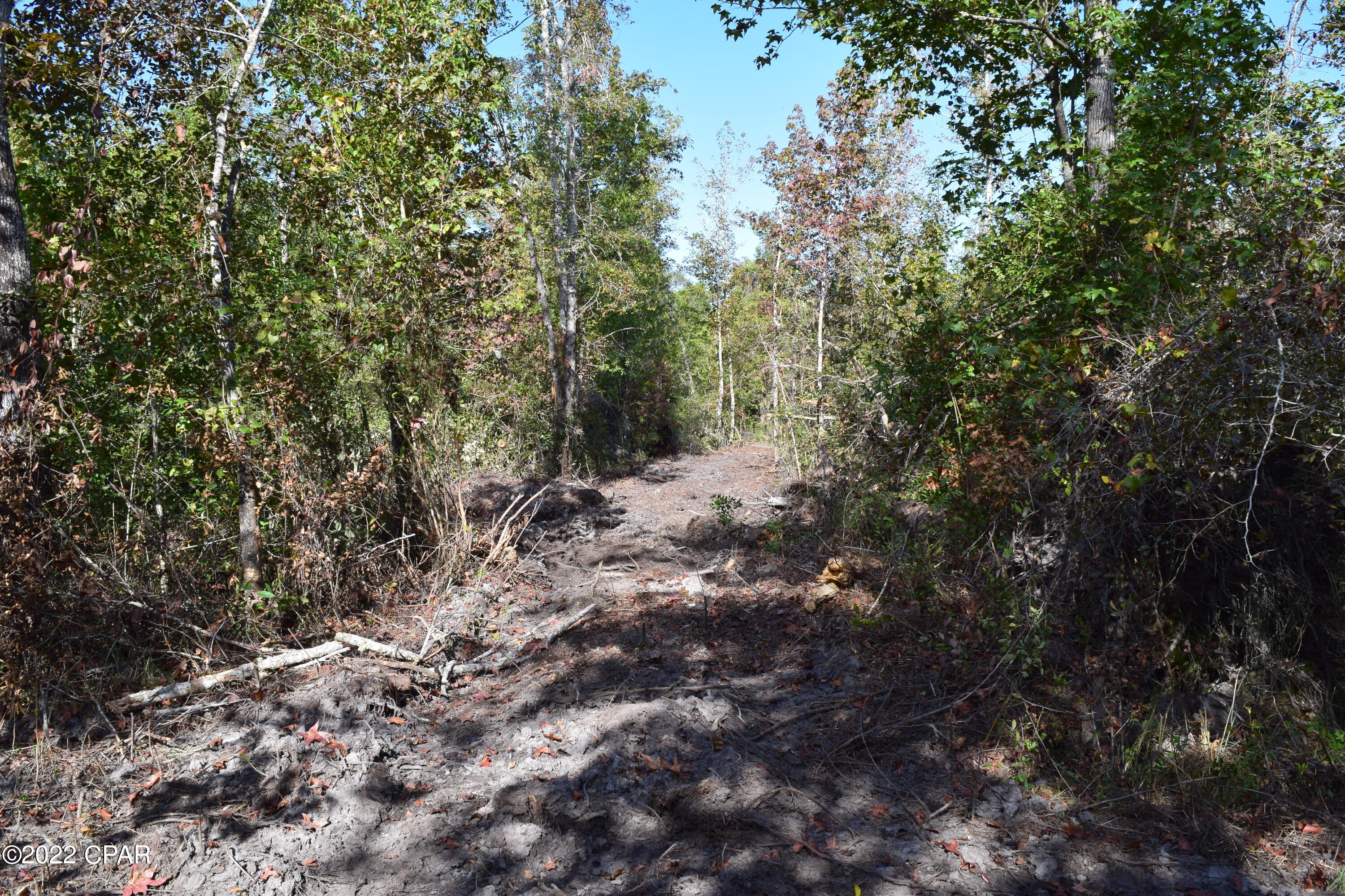 0 Bethlehem Road Cottondale, FL 32431 - Photo 18 of 24