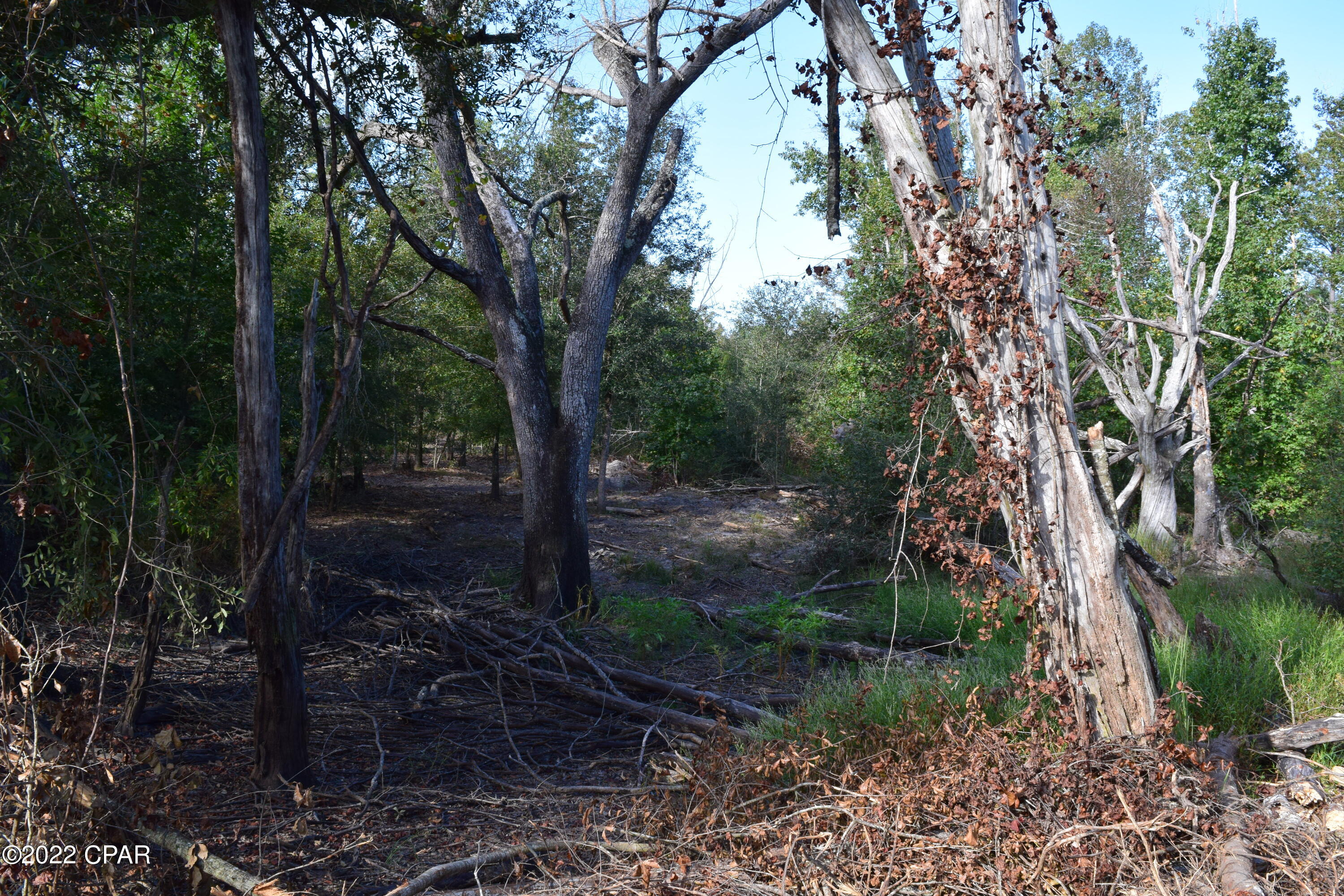 0 Bethlehem Road Cottondale, FL 32431 - Photo 19 of 24