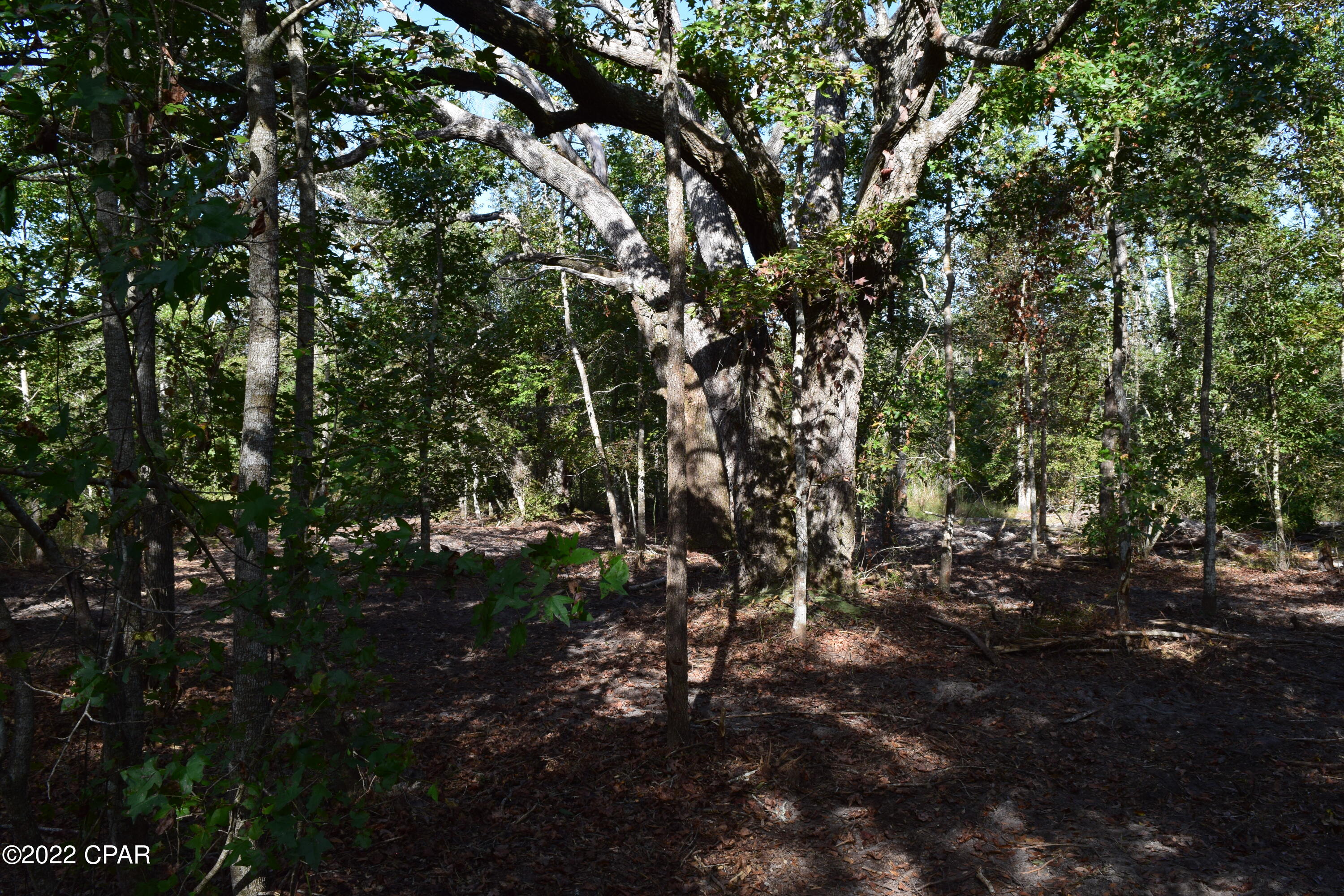 0 Bethlehem Road Cottondale, FL 32431 - Photo 20 of 24