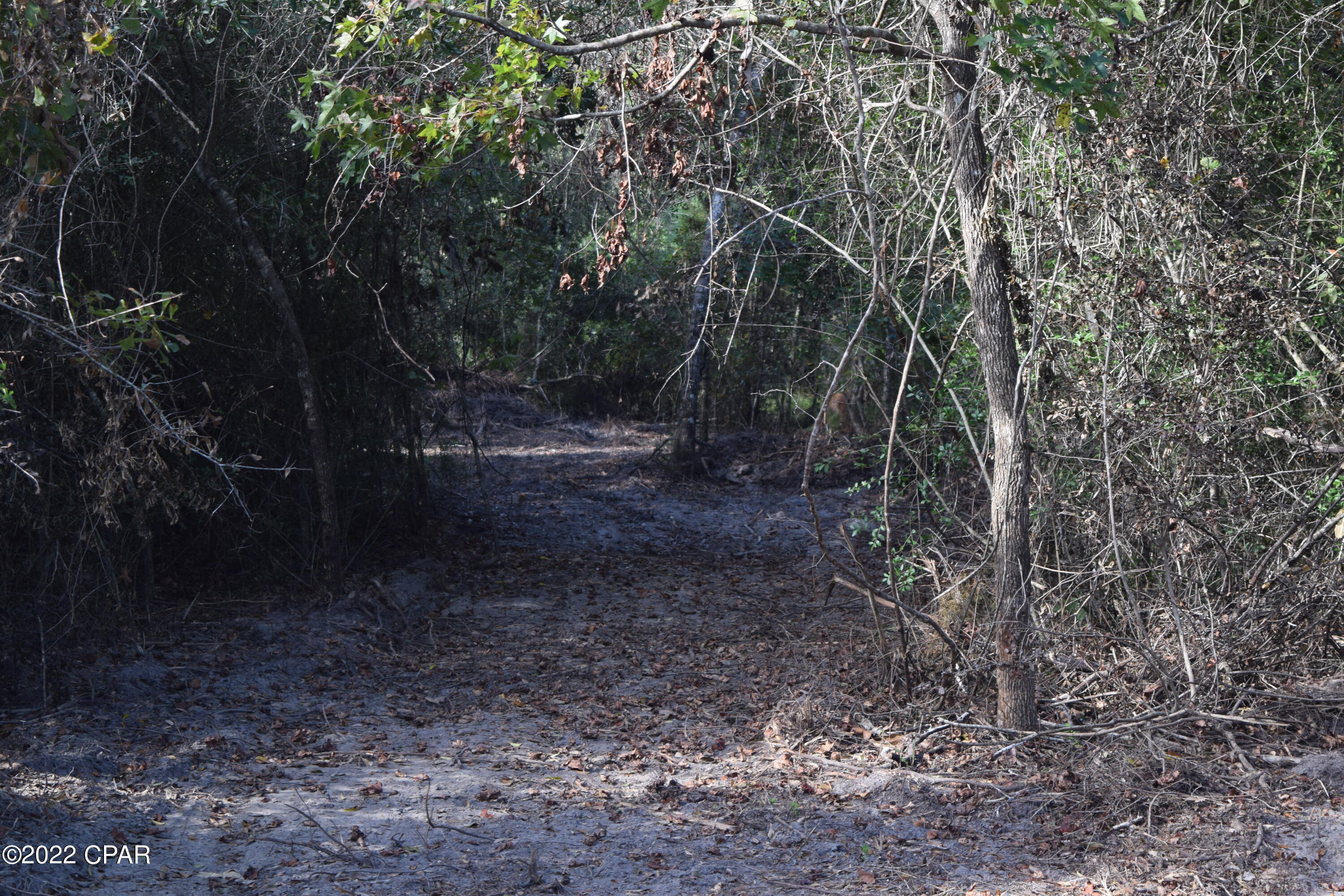 0 Bethlehem Road Cottondale, FL 32431 - Photo 21 of 24