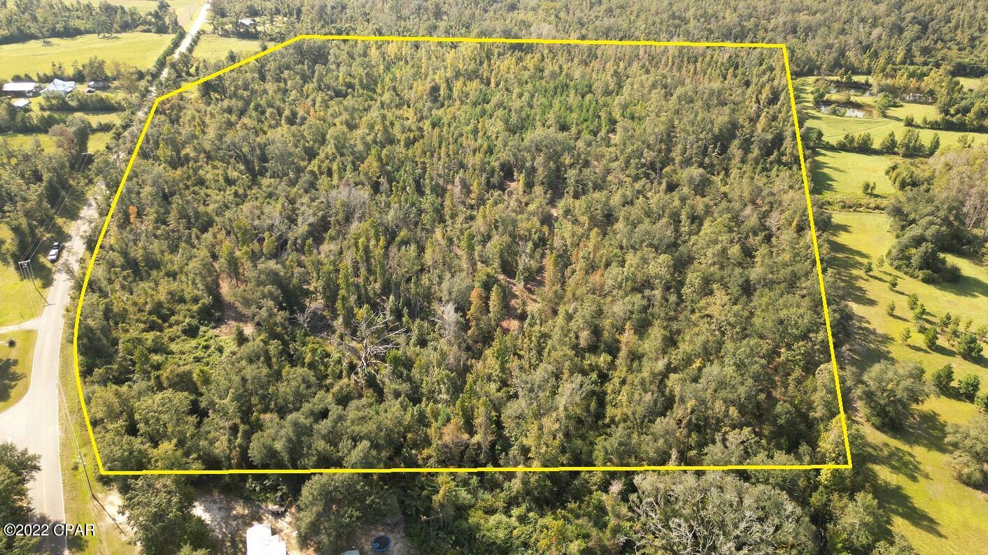 0 Bethlehem Road Cottondale, FL 32431 - Photo 3 of 24