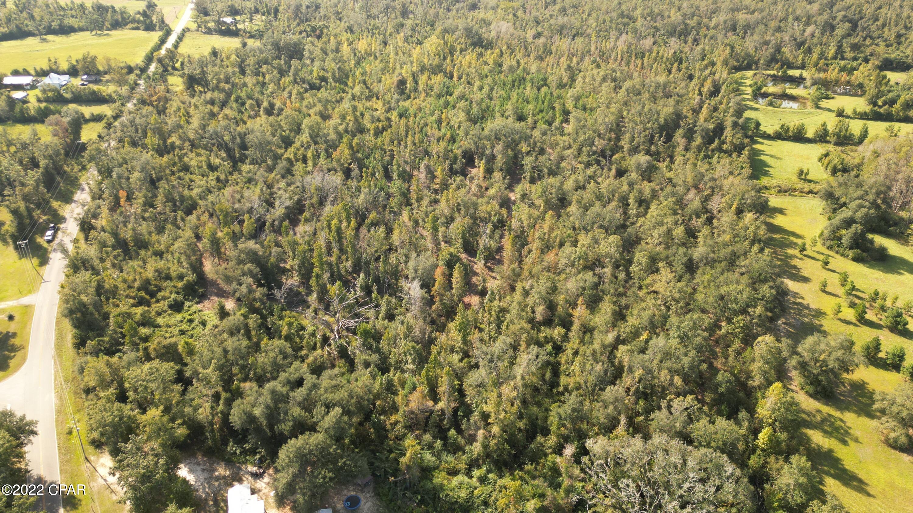 0 Bethlehem Road Cottondale, FL 32431 - Photo 4 of 24